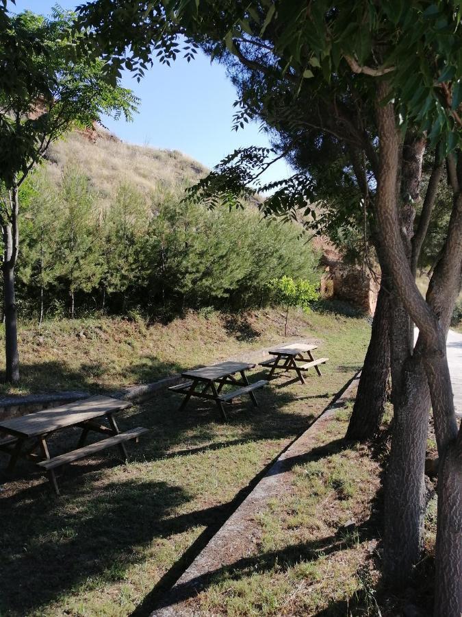 Apartamentos Rurales Camino Del Cid Castejón de las Armas Εξωτερικό φωτογραφία
