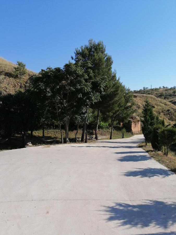 Apartamentos Rurales Camino Del Cid Castejón de las Armas Εξωτερικό φωτογραφία