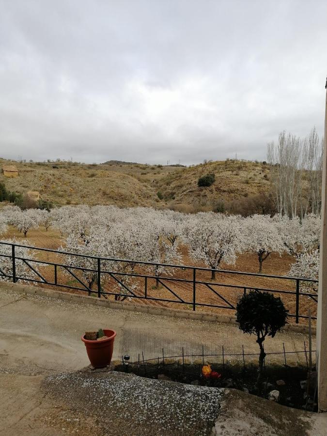 Apartamentos Rurales Camino Del Cid Castejón de las Armas Εξωτερικό φωτογραφία