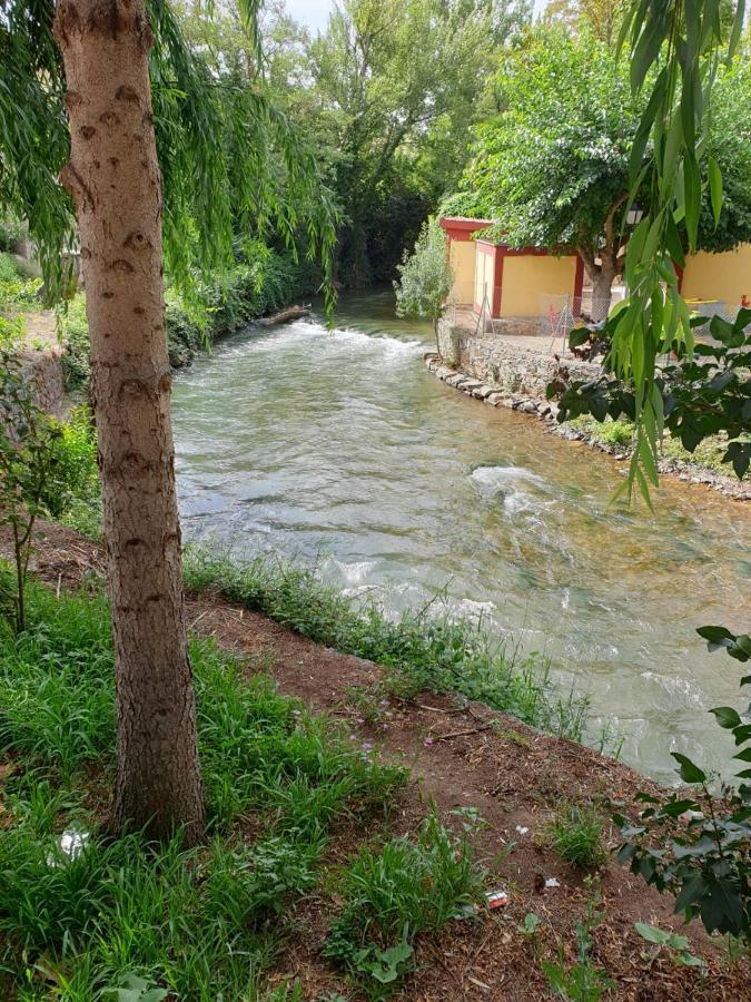 Apartamentos Rurales Camino Del Cid Castejón de las Armas Εξωτερικό φωτογραφία