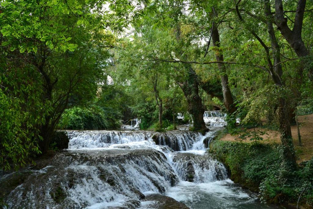 Apartamentos Rurales Camino Del Cid Castejón de las Armas Εξωτερικό φωτογραφία