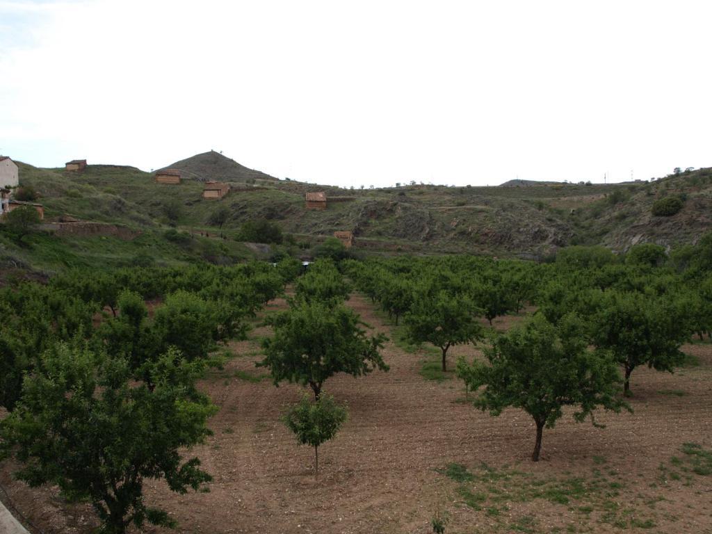 Apartamentos Rurales Camino Del Cid Castejón de las Armas Εξωτερικό φωτογραφία