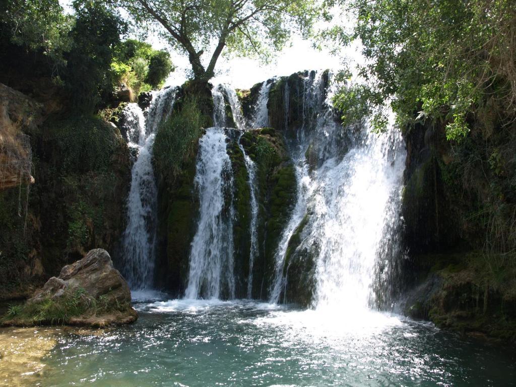 Apartamentos Rurales Camino Del Cid Castejón de las Armas Εξωτερικό φωτογραφία