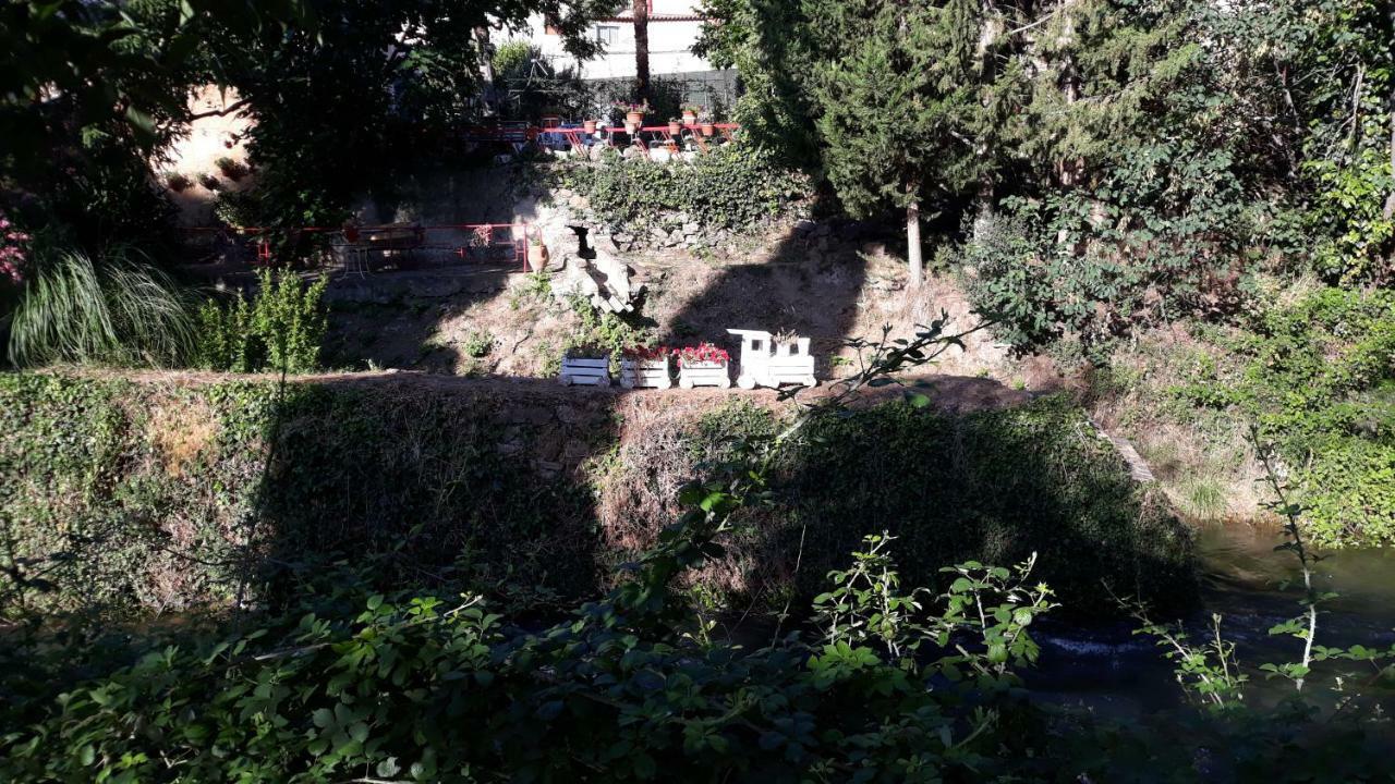 Apartamentos Rurales Camino Del Cid Castejón de las Armas Εξωτερικό φωτογραφία