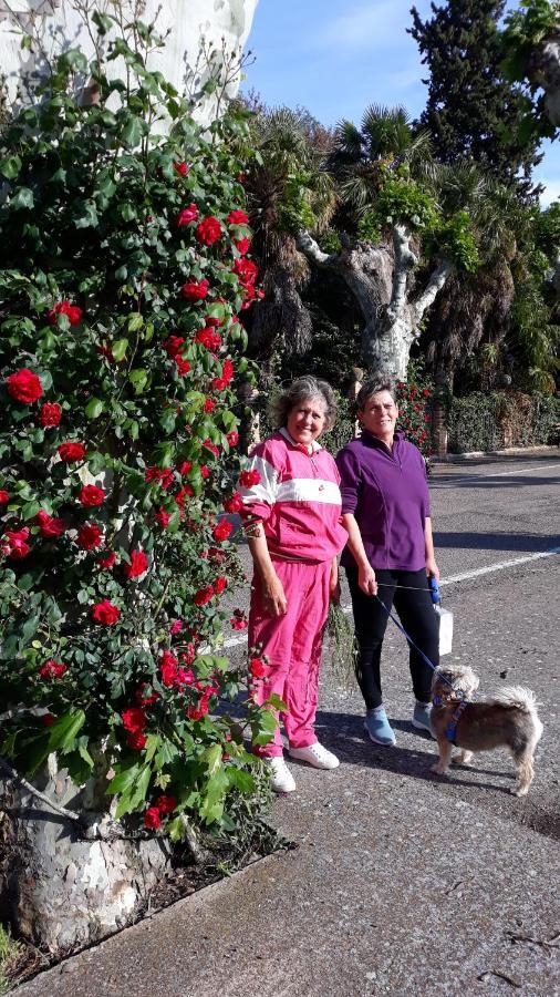 Apartamentos Rurales Camino Del Cid Castejón de las Armas Εξωτερικό φωτογραφία