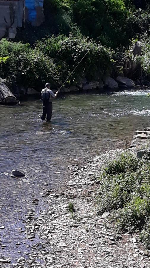 Apartamentos Rurales Camino Del Cid Castejón de las Armas Εξωτερικό φωτογραφία